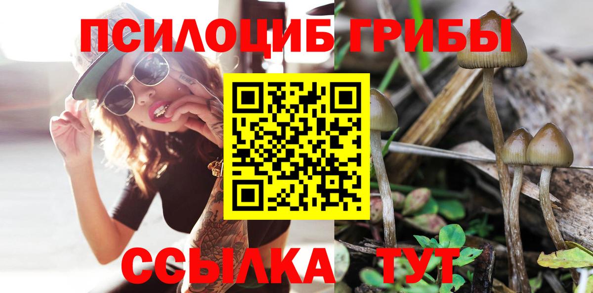 Тулун  Галлюциногенные грибы мицелий  Вход с VPN 